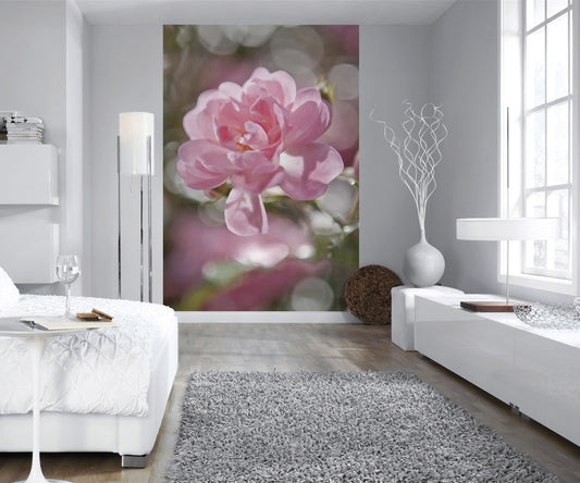 Fototapete 4-713 Bouquet 184 × 254 cm versandkostenfrei