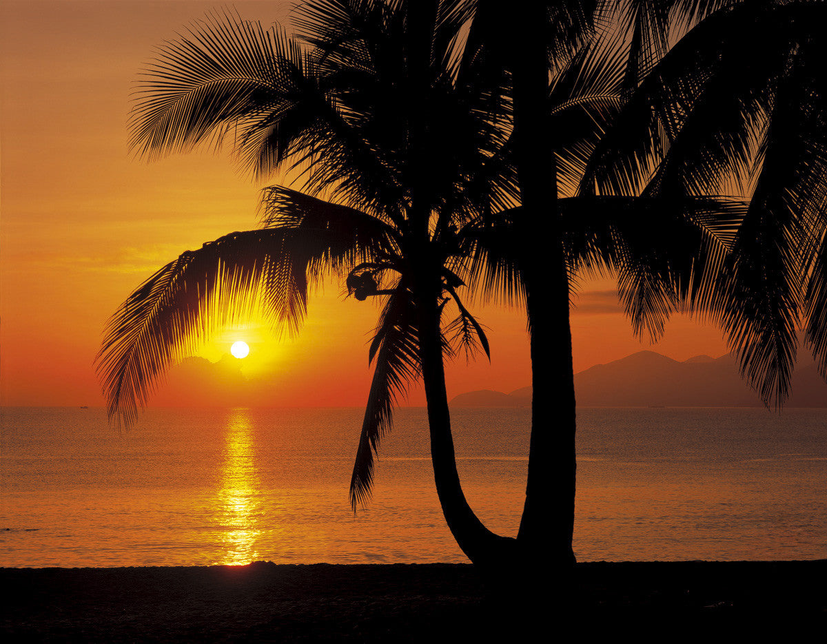 Komar 8-255 Palmy Beach Sunrise 3,68 x 2,54 cm - versandkostenfrei