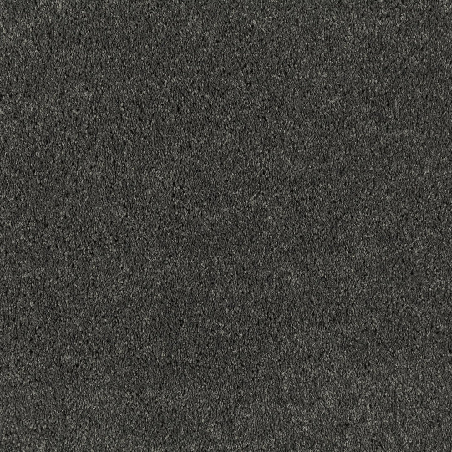 JAB Champ Velours 5 m breit in 8 Farben - versandkostenfrei