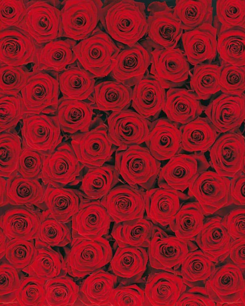 Fototapete 4-077 Roses 194 × 270 cm versandkostenfrei