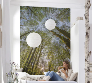 Fototapete 4-522 Canopy 184 × 254 cm versandkostenfrei