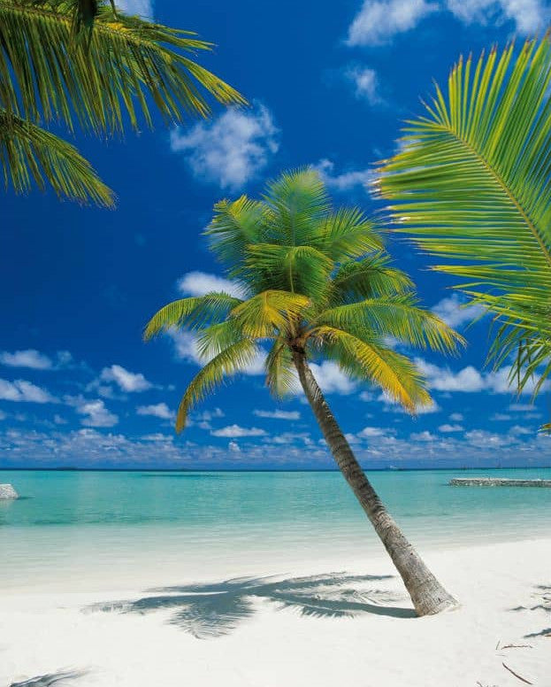 Fototapete 4-883 Ari Atoll 184 × 254 cm versandkostenfrei