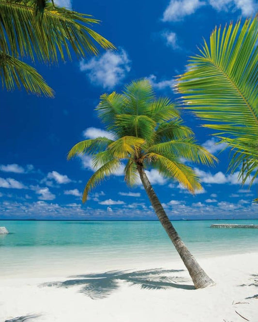 Fototapete 4-883 Ari Atoll 184 × 254 cm versandkostenfrei