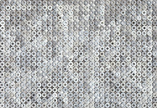Fototapete 8-701 Metal Rings 368 x 254 cm - versandkostenfrei