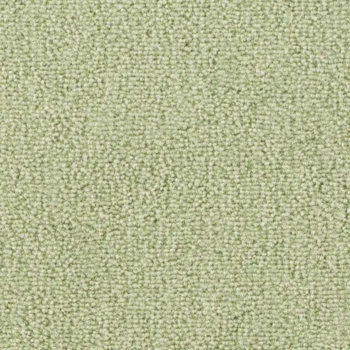 Vorwerk Barista Velours 4 oder 5 m breit in 19 Farben - versandkostenfrei