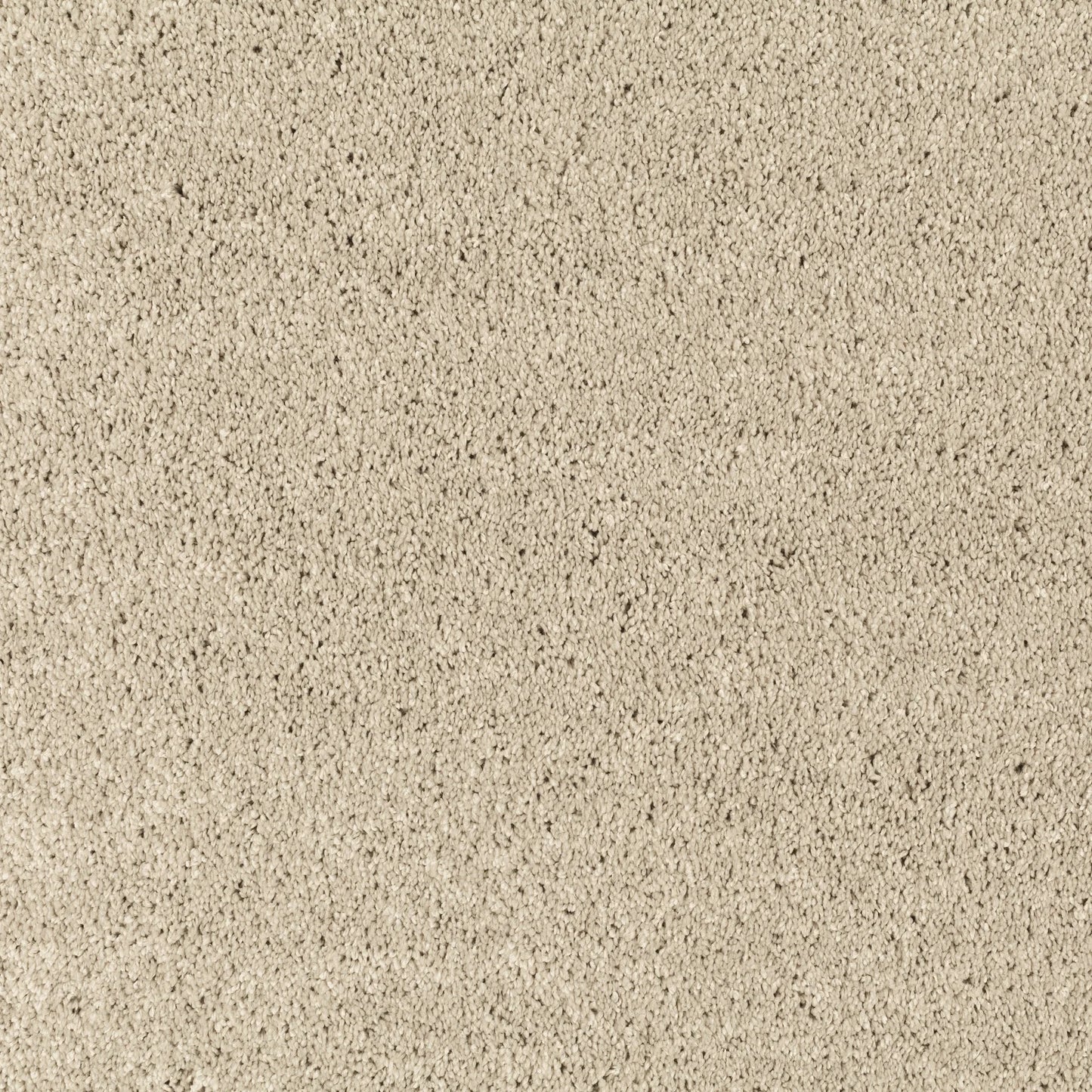 JAB Champ Velours 5 m breit in 8 Farben - versandkostenfrei
