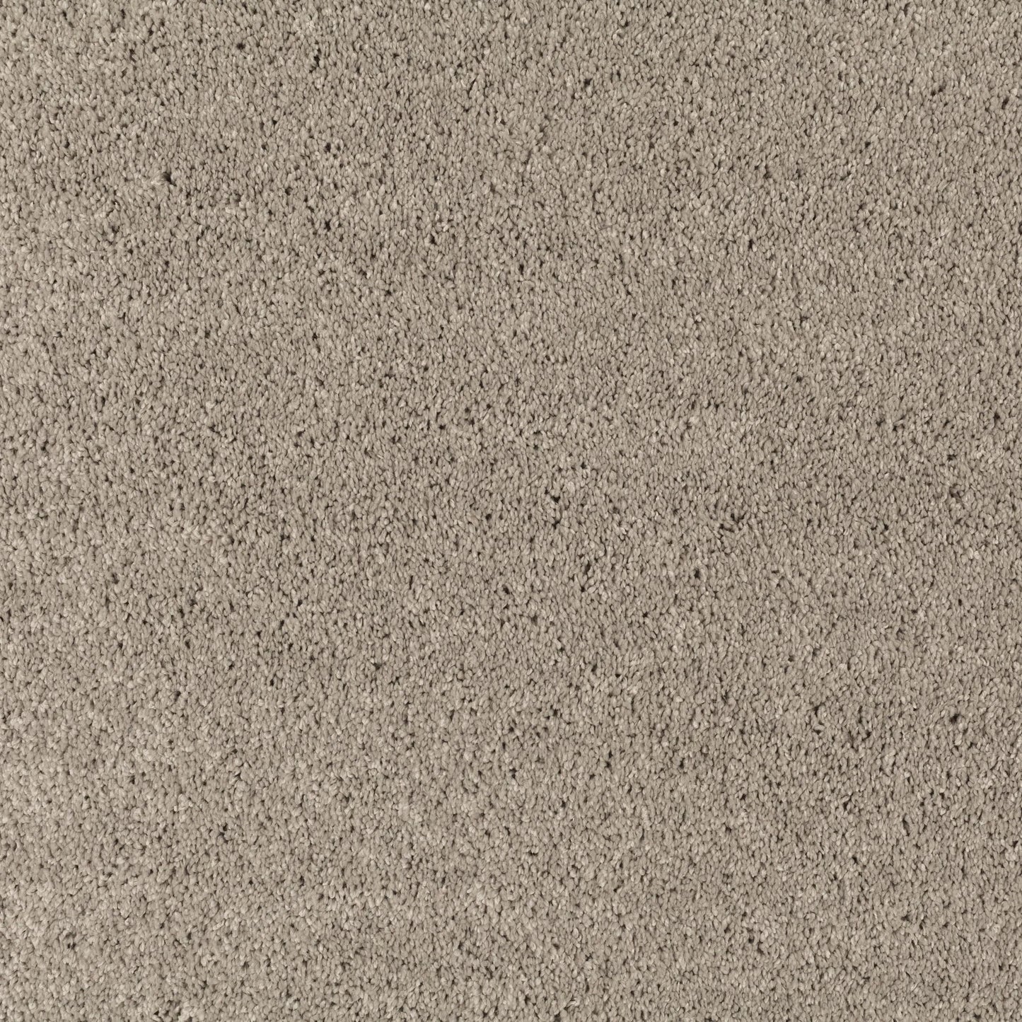 JAB Champ Velours 5 m breit in 8 Farben - versandkostenfrei