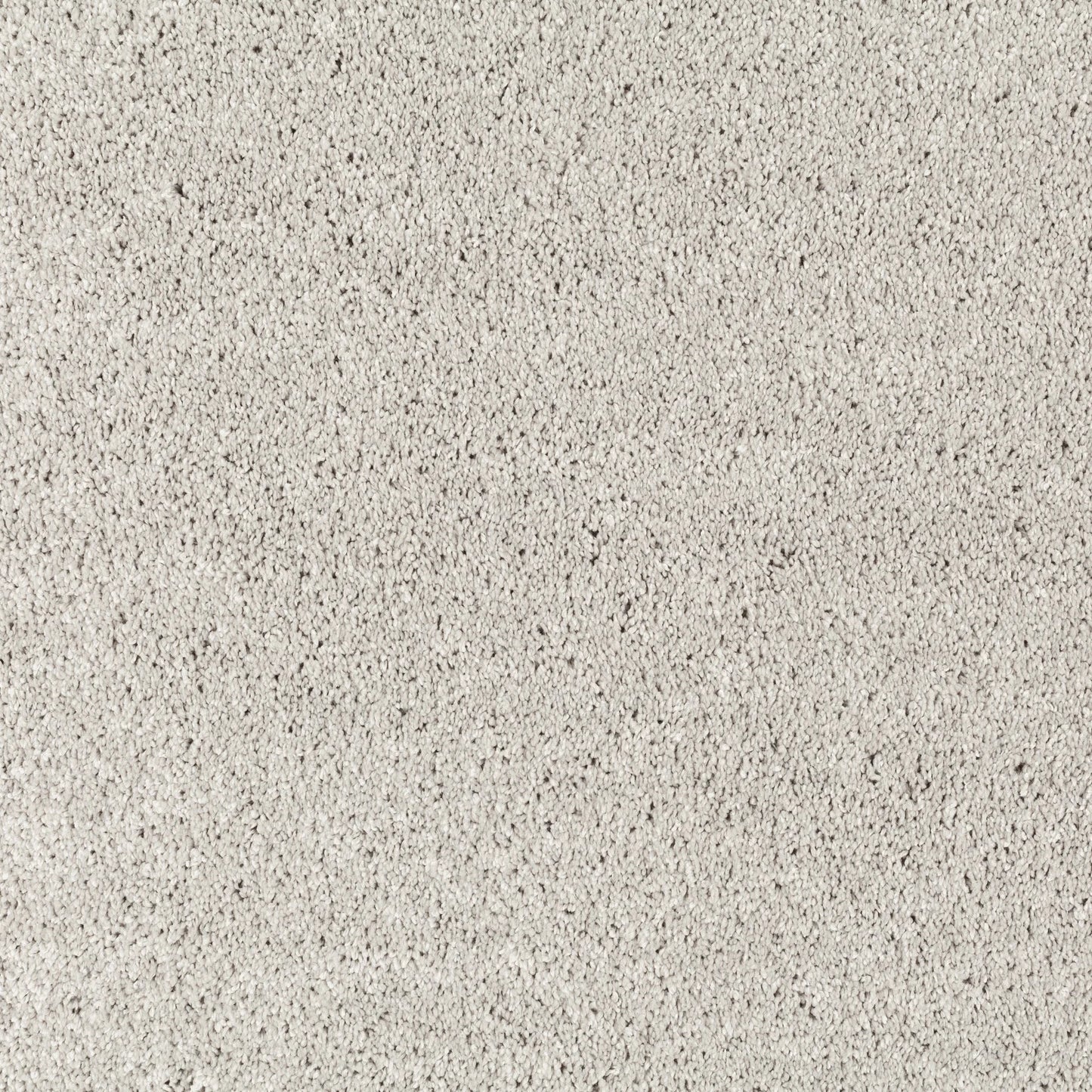JAB Champ Velours 5 m breit in 8 Farben - versandkostenfrei
