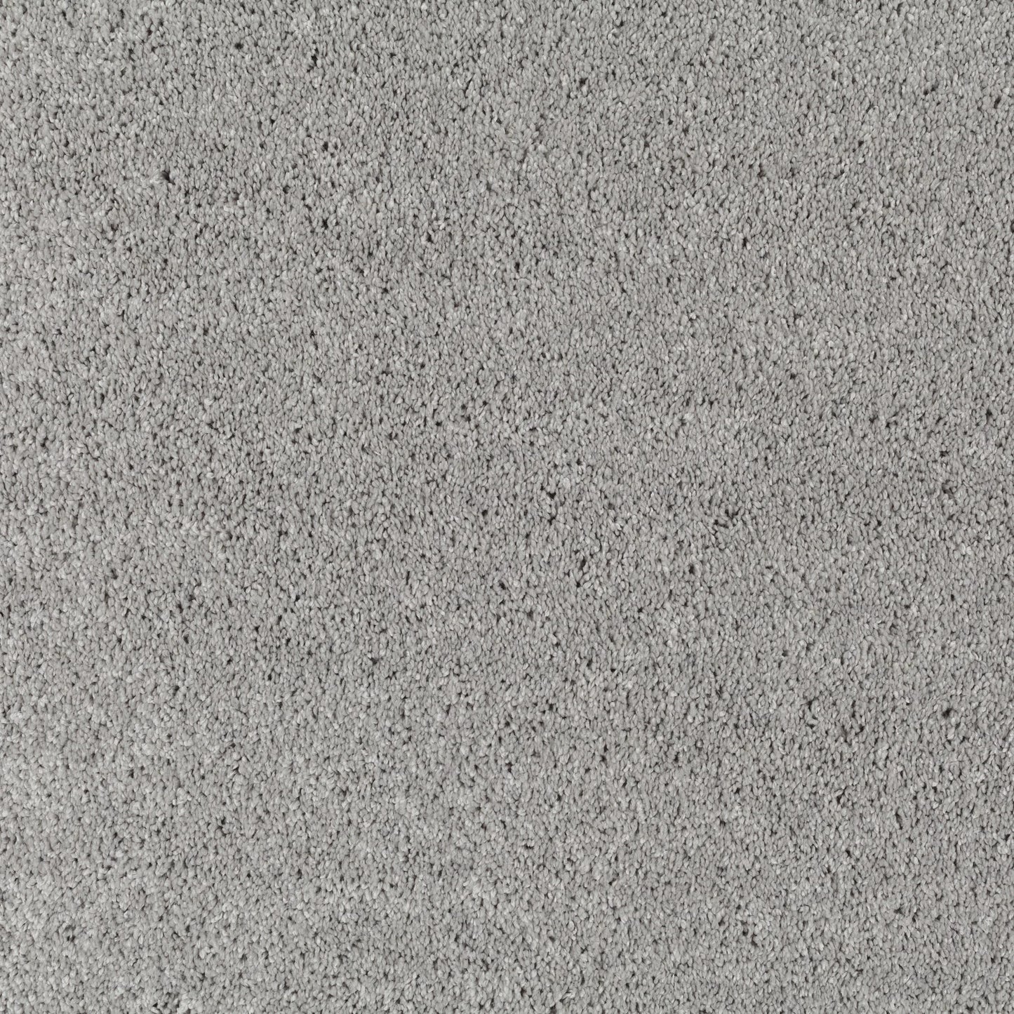 JAB Champ Velours 5 m breit in 8 Farben - versandkostenfrei