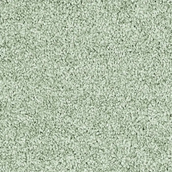 Vorwerk Conzano Velours 4 oder 5 m breit in 15 Farben - versandkostenfrei