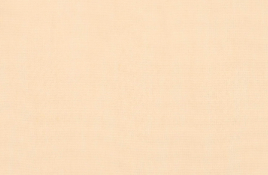 Plissee Ifasol Leni 267