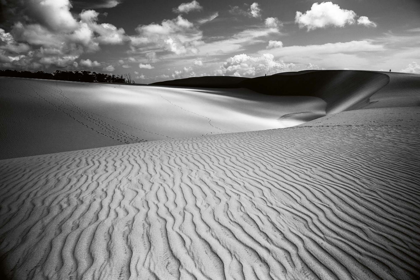 Vlies Fototapete Dimex 1833 - 375 x 250 cm - versandkostenfrei