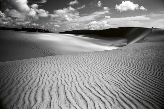 Vlies Fototapete Dimex 1833 - 375 x 250 cm - versandkostenfrei