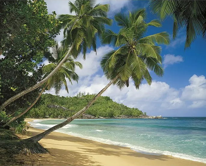 Fototapete SD308 Seychellen 368 x 254 cm neu und originalverpackt