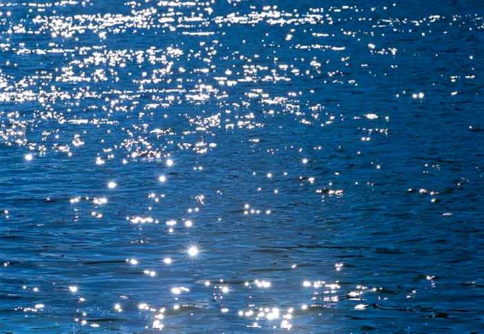Fototapete 4-518 Stelle di mare 254 × 184 cm versandkostenfrei